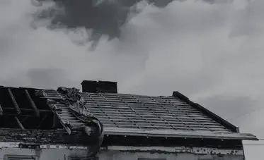 couvreur-zingueur Essarts-en-Bocage-2