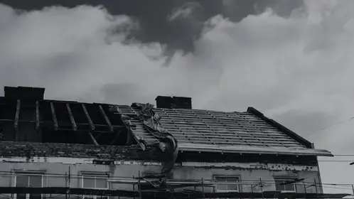 couvreur-zingueur Tiffauges-3