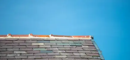 nettoyage de toit Cholet-1