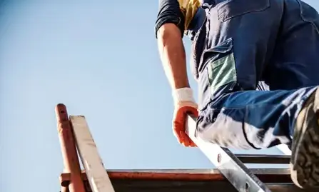 nettoyage de toit Essarts-en-Bocage-1