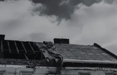 nettoyage de toit Essarts-en-Bocage-2