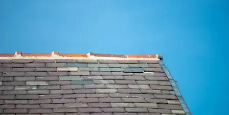 nettoyage de toit Essarts-en-Bocage-5