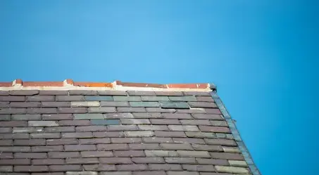 nettoyage de toit La Bruffière-1