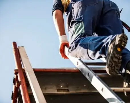 nettoyage de toit La Bruffière-2