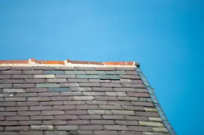 nettoyage de toit Les Herbiers-2