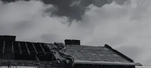 nettoyage de toit Les Herbiers-4