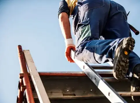 nettoyage de toit Les Herbiers-5