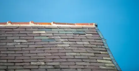 nettoyage de toit Montaigu-Vendée-2