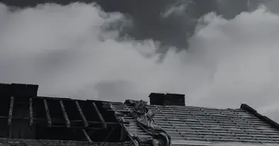 nettoyage de toit Montaigu-Vendée-3