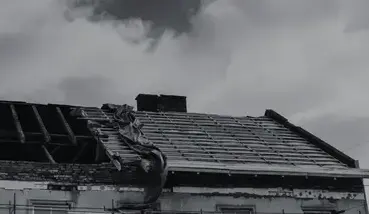 nettoyage de toit Saint-Fulgent-2