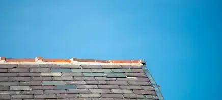 nettoyage de toit Saint-Fulgent-3