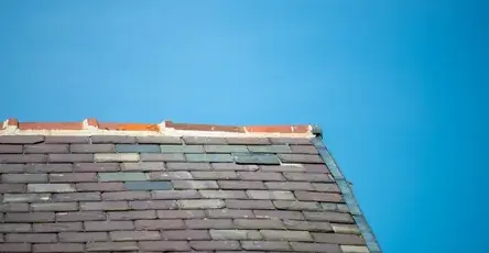 nettoyage de toit Tiffauges-1