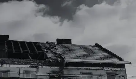 nettoyage de toit Tiffauges-4