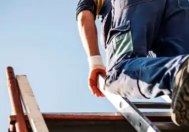 nettoyage de toit Treize-Septiers-1