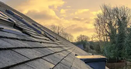 nettoyage de toit Treize-Septiers-2