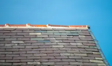 nettoyage de toit Treize-Septiers-3