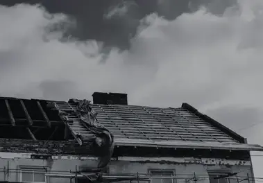 nettoyage de toit Treize-Septiers-5