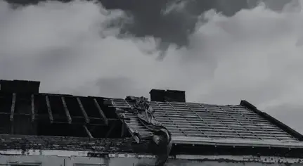 pose de fenêtre de toit Saint-Fulgent-2