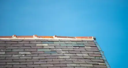 pose de gouttière Tiffauges-3